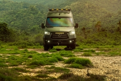 GREEN_PREVIEW-3